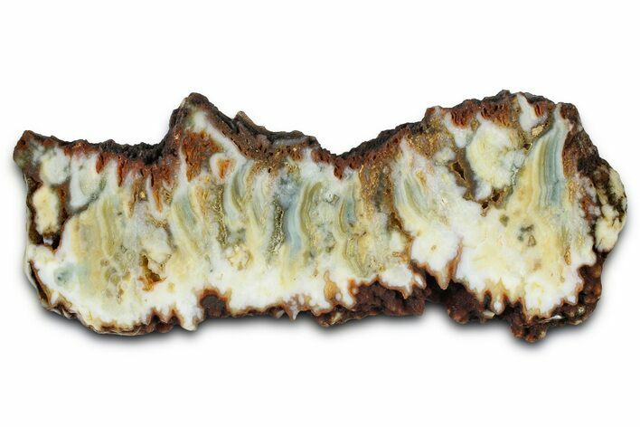 Polished Gabbs Valley Seam Agate Slab - Nevada #371176